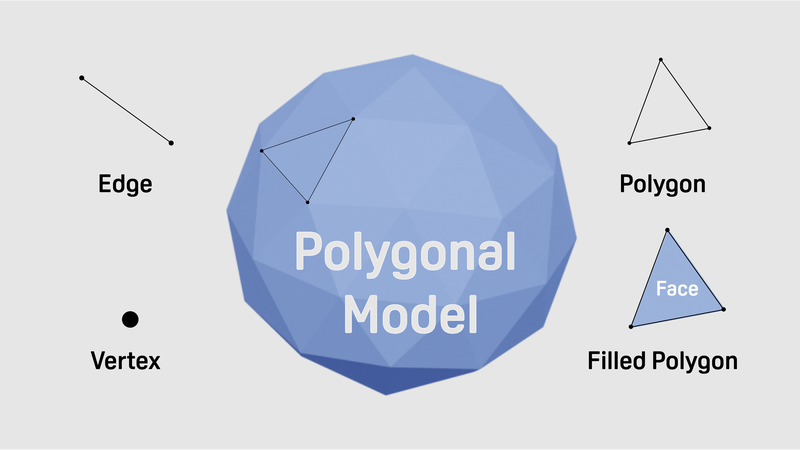 Polygonal model made up of edges, vertices, polygons, and filled polygons.