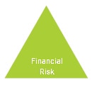 Financial Risk