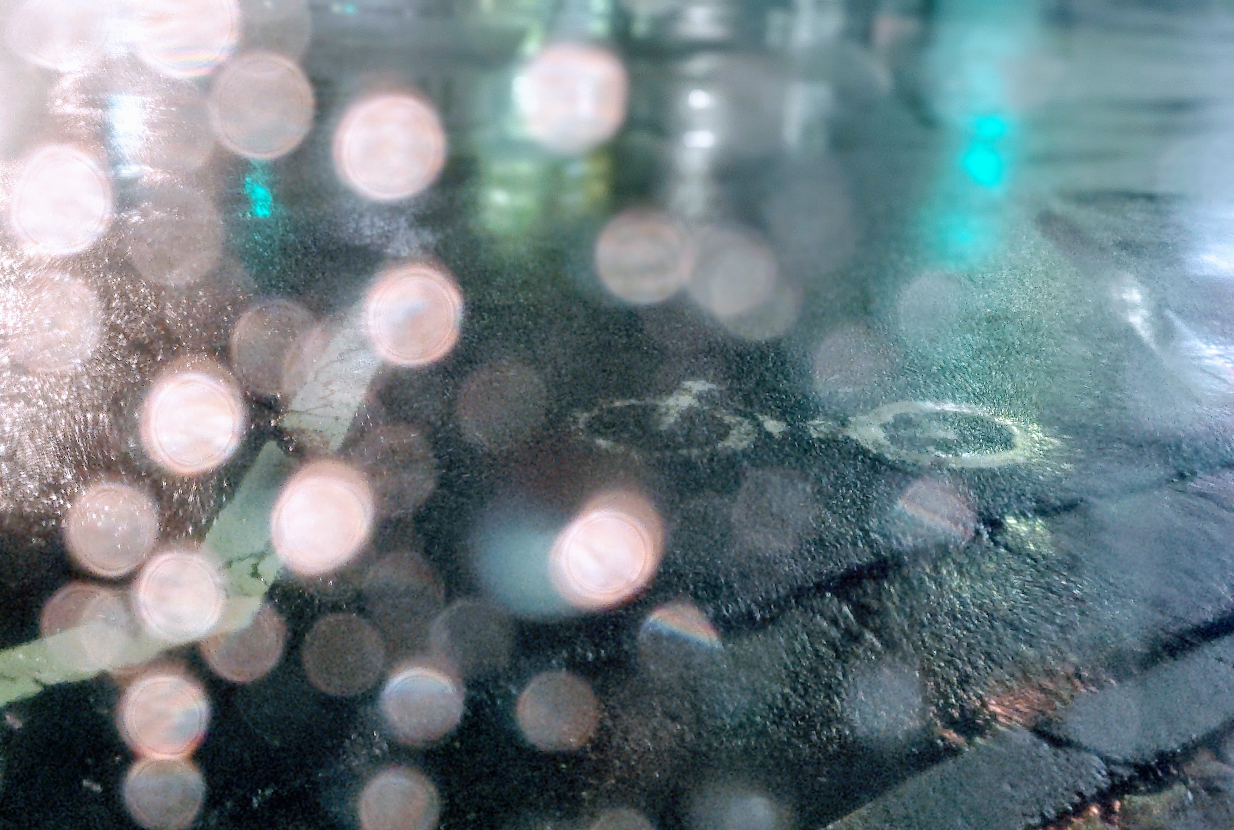 雨の歩道