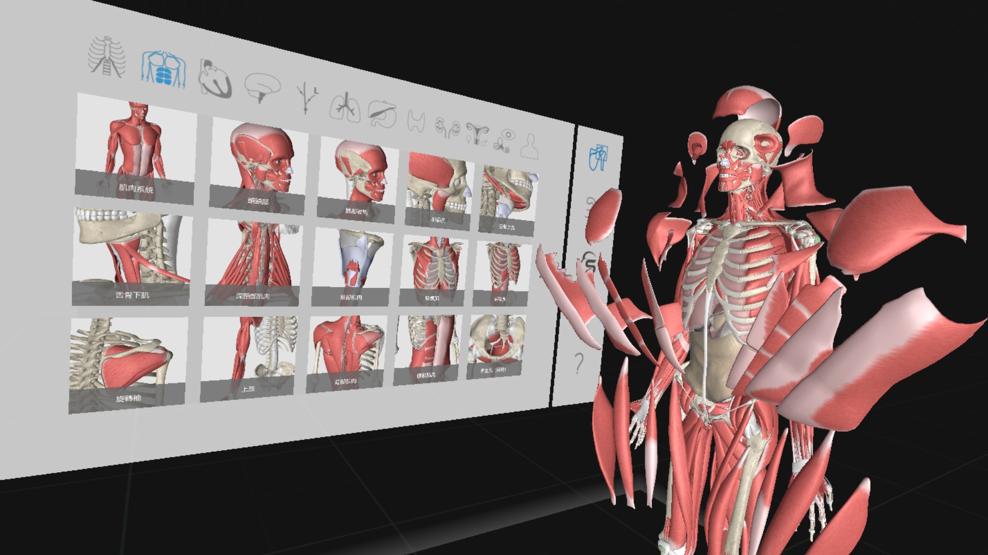 Анатомия твц. 3d Organon VR Anatomy. Виртуальная анатомия Virtual Anatomy. Виртуальные анатомические атласы. Цифровая анатомия человека.