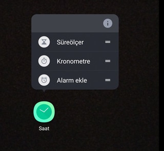 Screen showing available options when you press and hold an app icon.