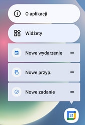 Screen showing app shortcut