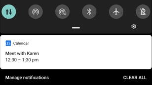 Screen showing the Notifications panel